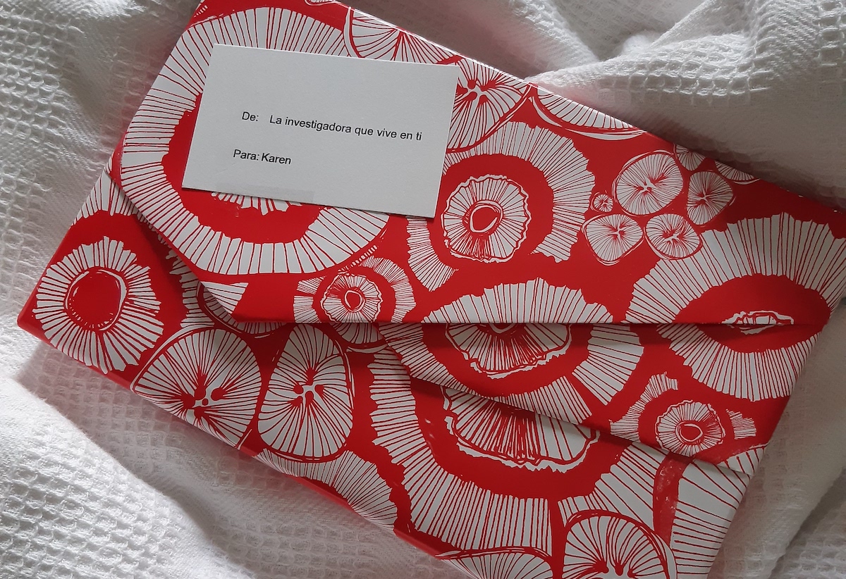 Libros, películas y newsletters que me acompañaron en junio de 2021