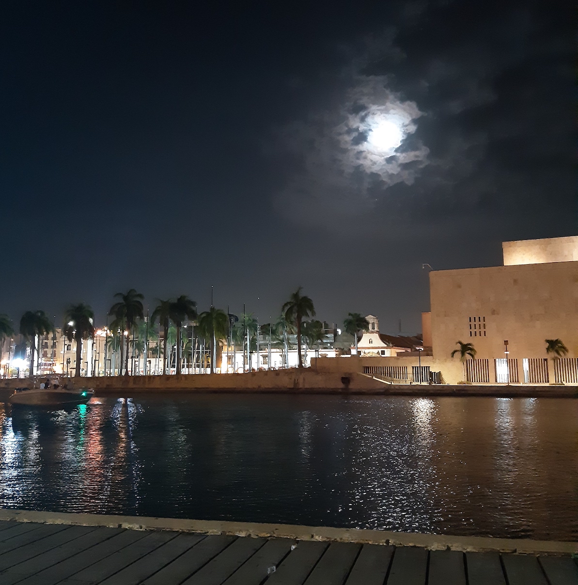 Libros, películas, newsletters y pódcasts que me acompañaron en julio de 2021