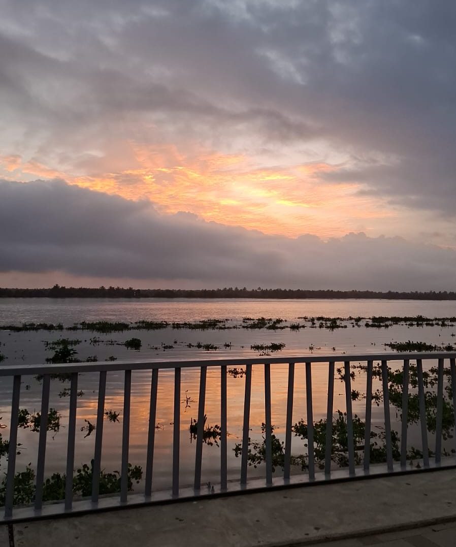 Charlas, cursos, el Festival Gabo y El Cuento de la Criada
